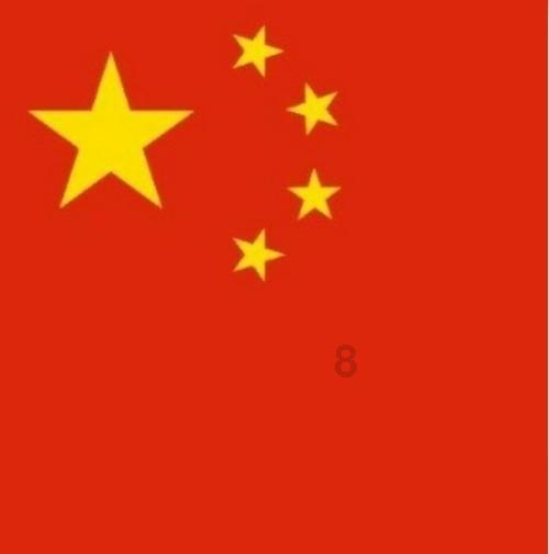 捣蛋猪HD8.0
